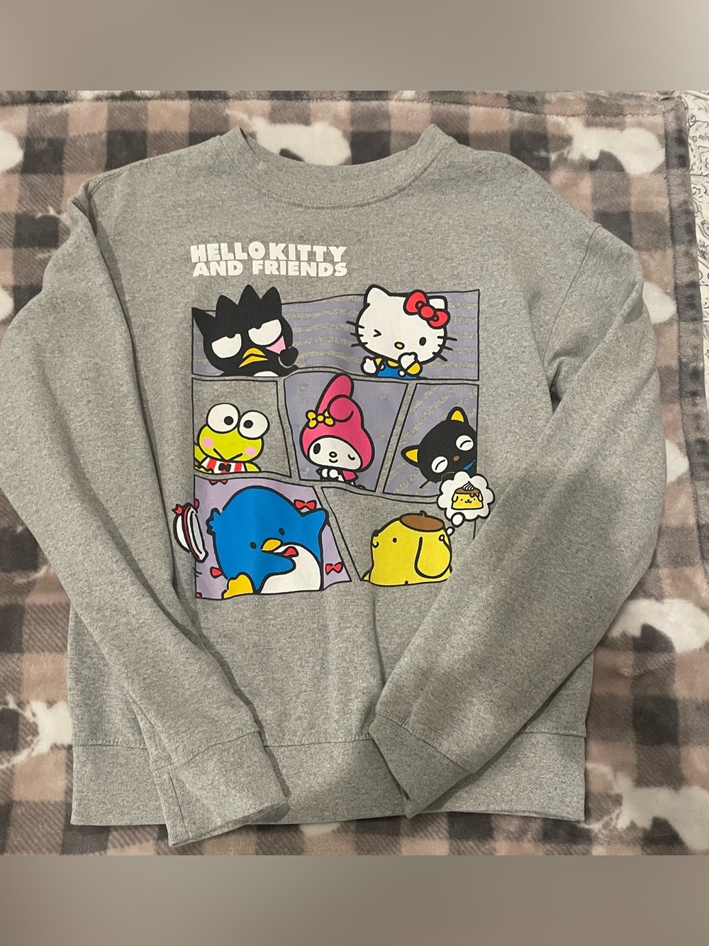 🐨3for$20🐨Hello Kitty Grey Pullover with Colorful Character Panels